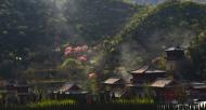 河南旅游文化：青龍山慈云寺第四屆桃花祈福文化節(jié)即將盛大開幕！