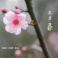 遍賞花花世界，不用東奔西走，來(lái)這一個(gè)城市就夠了！