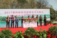 河南旅游市場運(yùn)營：第四屆南灣湖櫻花節(jié)開幕了！