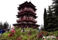 河南旅游策劃：真火爆！15萬人涌進(jìn)三門峽天鵝湖濕地公園牡丹園
