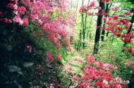 河南旅游市場運(yùn)營：錯峰游堯山，踏著青春的旋律來相會（有福利）