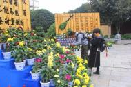 河南旅游市場運(yùn)營：”開封“千菊進(jìn)萬家”活動要開始了，今年又有哪些新內(nèi)容？